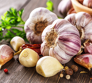 Garlic