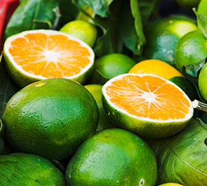 Green Mandarin