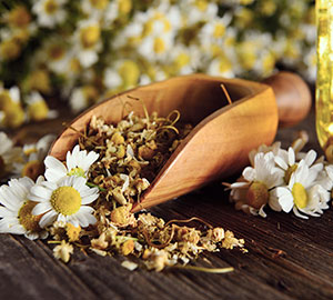 Chamomile Tea