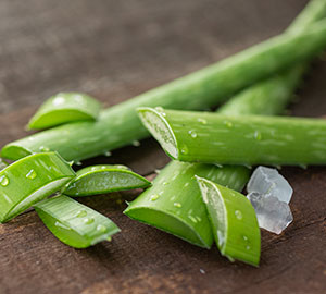 Aloe Leaf