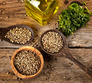 Hemp Seed Oil