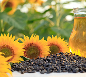Sunflower Seed Oil