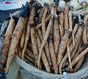 Burdock Root